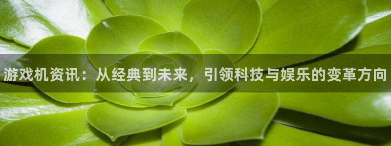 极悦娱乐下载链接：游戏机资讯：从经典到未来，引领科技与娱乐的