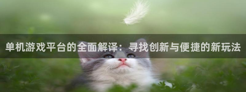 极悦娱乐什么意思：单机游戏平台的全面解译：寻找创新与便捷的新