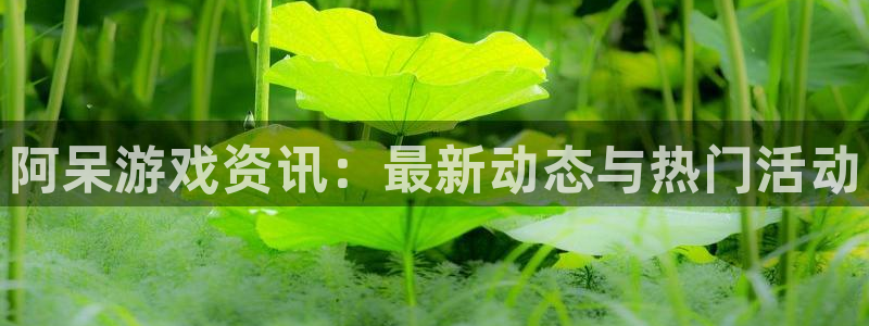 极悦娱乐科技：阿呆游戏资讯：最新动态与热门活动