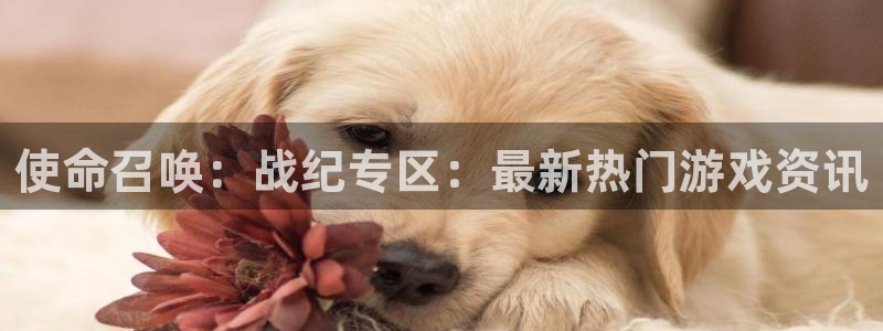 极悦娱乐测速登陆