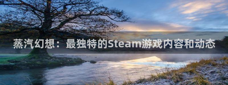 极悦娱乐平台官网客服电话：蒸汽幻想：最独特的Steam游戏内