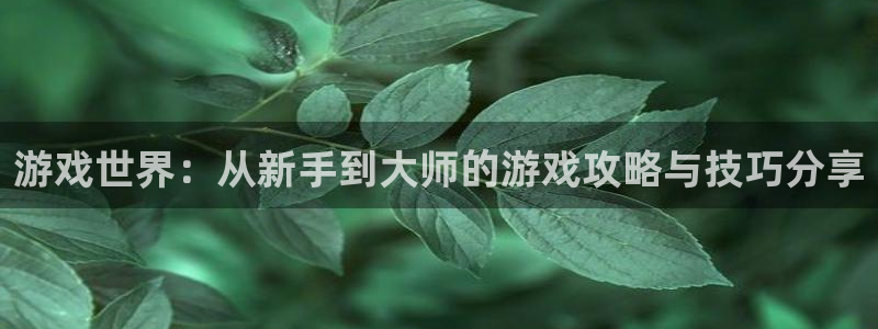 极悦娱乐官方平台：游戏世界：从新手到大师的游戏攻略与技巧分享
