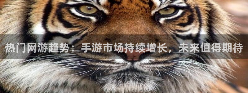 极悦娱乐注册登录：热门网游趋势：手游市场持续增长，未来值得期