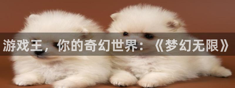 极悦娱乐平台登录入口：游戏王，你的奇幻世界：《梦幻无限》