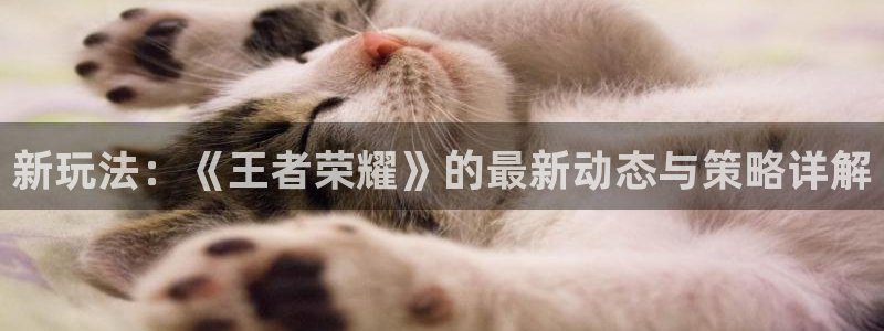 极悦娱乐部7O777