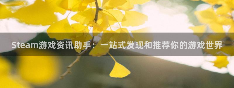 极悦娱乐创始人简介资料：Steam游戏资讯助手：一站式发现和