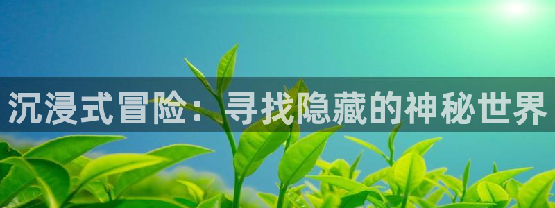 极悦娱乐贴吧：沉浸式冒险：寻找隐藏的神秘世界