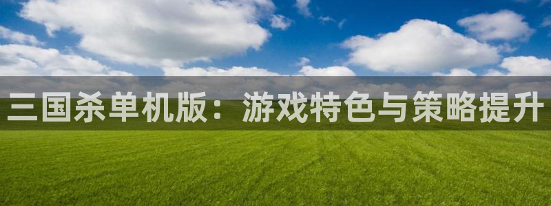 极悦娱乐的背景和历史背景：三国杀单机版：游戏特色与策略提升