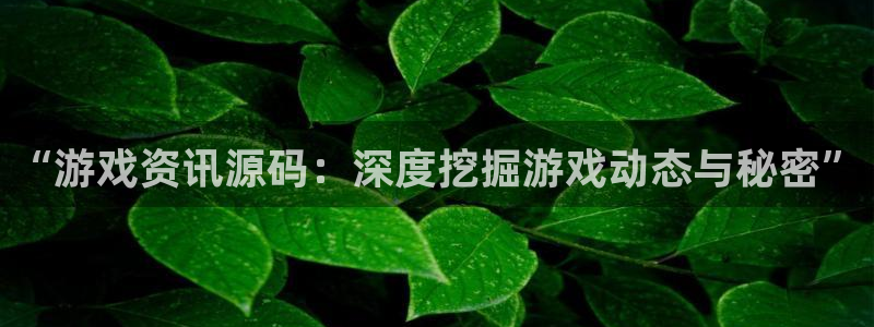 极悦娱乐2登录：“游戏资讯源码：深度挖掘游戏动态与秘密”