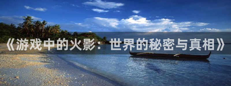 极悦娱乐注册平台：《游戏中的火影：世界的秘密与真相》