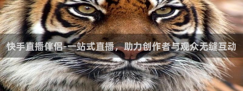 nba直播吧乐球直播：快手直播伴侣-一站式直播，助力创作者与观众无缝互动