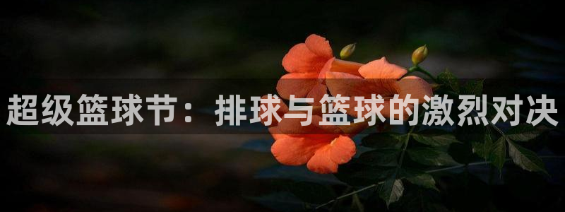 乐球jrs直播nba：超级篮球节：排球与篮球的激烈对决